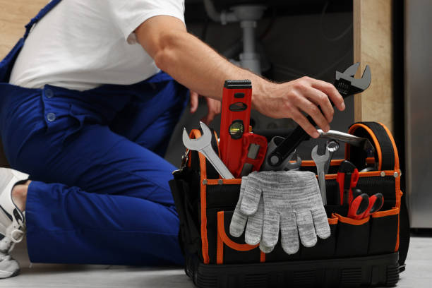 Best Plumbing Services Near Me  in Hillsdale, MI