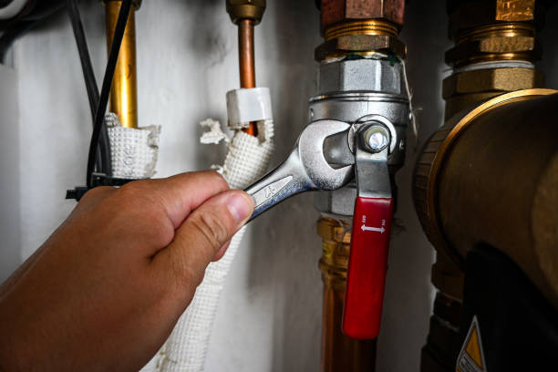 Best Emergency Plumber  in Hillsdale, MI
